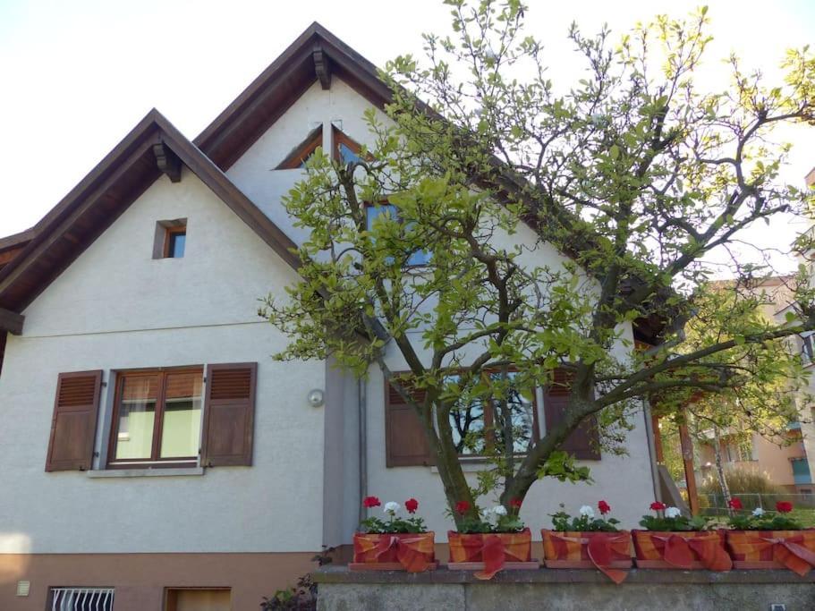 Gite Spacieux Au Coeur De L'Alsace 3*** Sélestat Eksteriør bilde